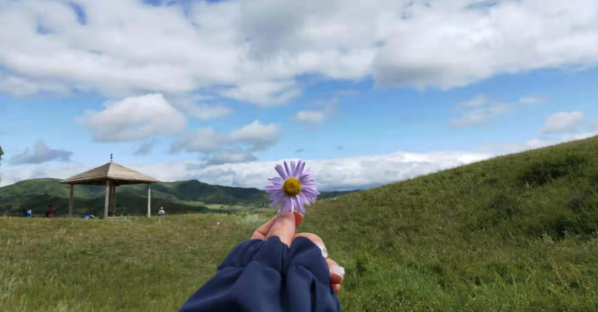 【Company news]Our company all members [ulan butong, saihanba] drive trip